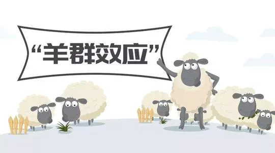羊群效应