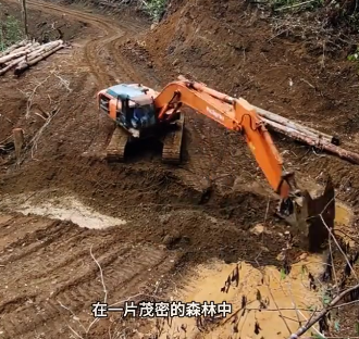 森林中的挖掘机