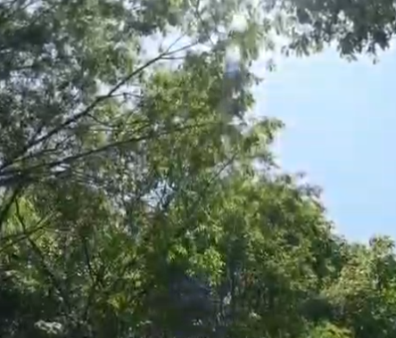 三北工程