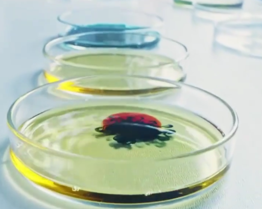 生物工程创新生物材料