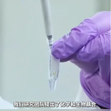 用空气做馒头？