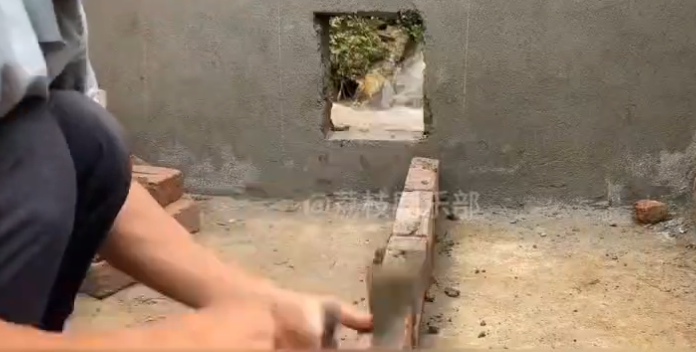 废旧自行车打造成小型水利水坝