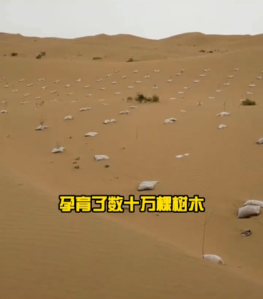 无水种植技术