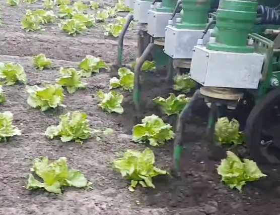全方位除草机器人