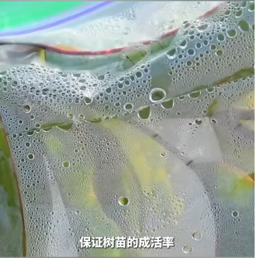 新型塑料袋