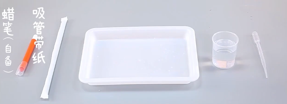 吸水纸吸水让蚕宝宝复活