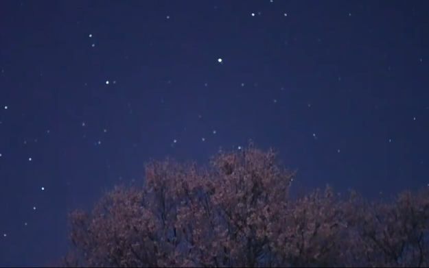 夜空中组成大半个圆的一串星是什么星？