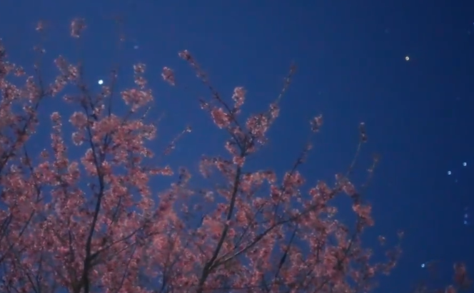 春季星空中的猎户座和北斗七星