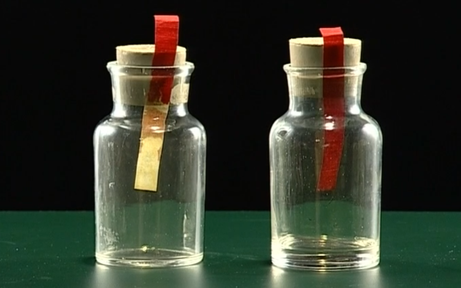 氯水、氯气的漂白