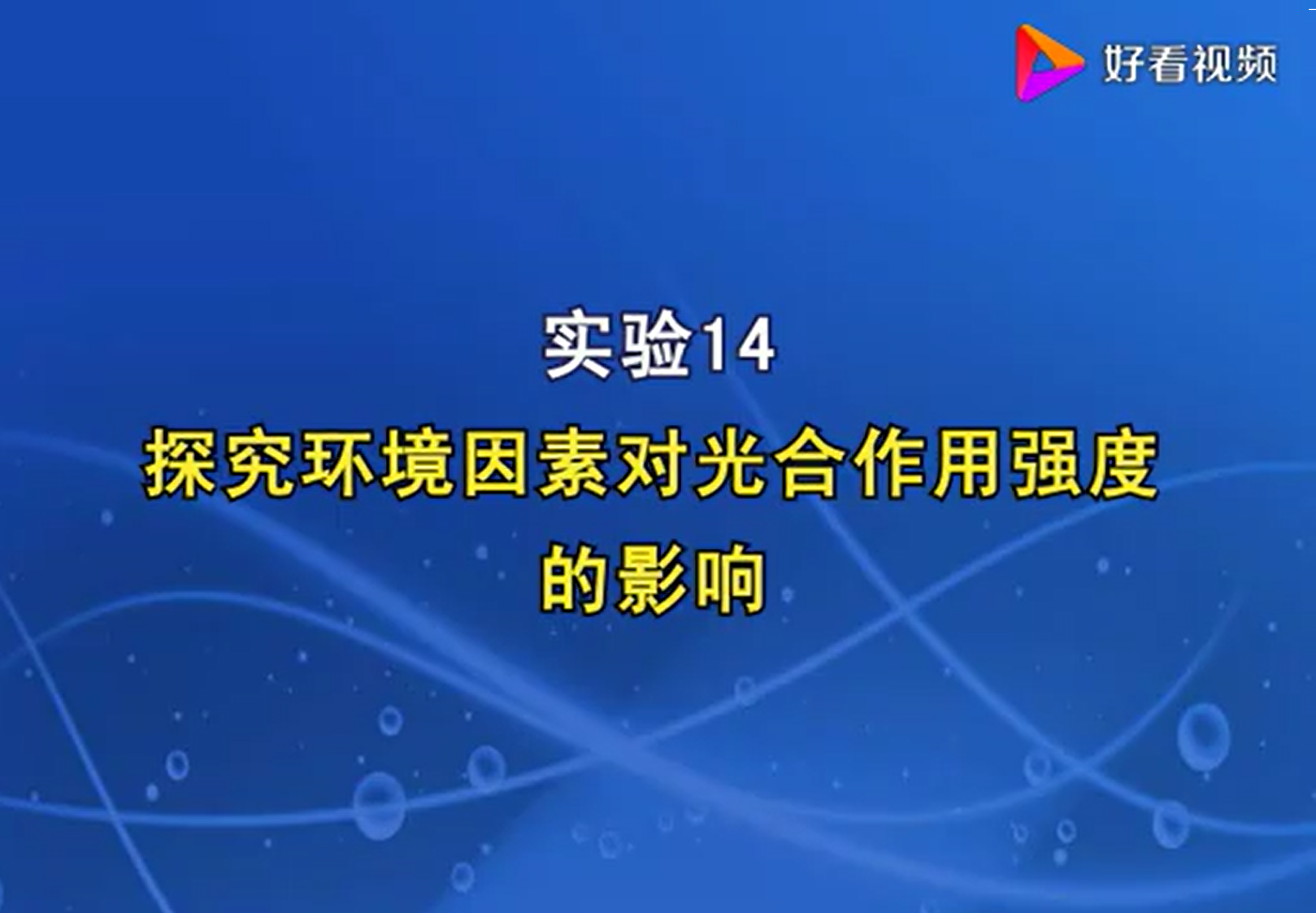 探究环境因素对光合作用的影响