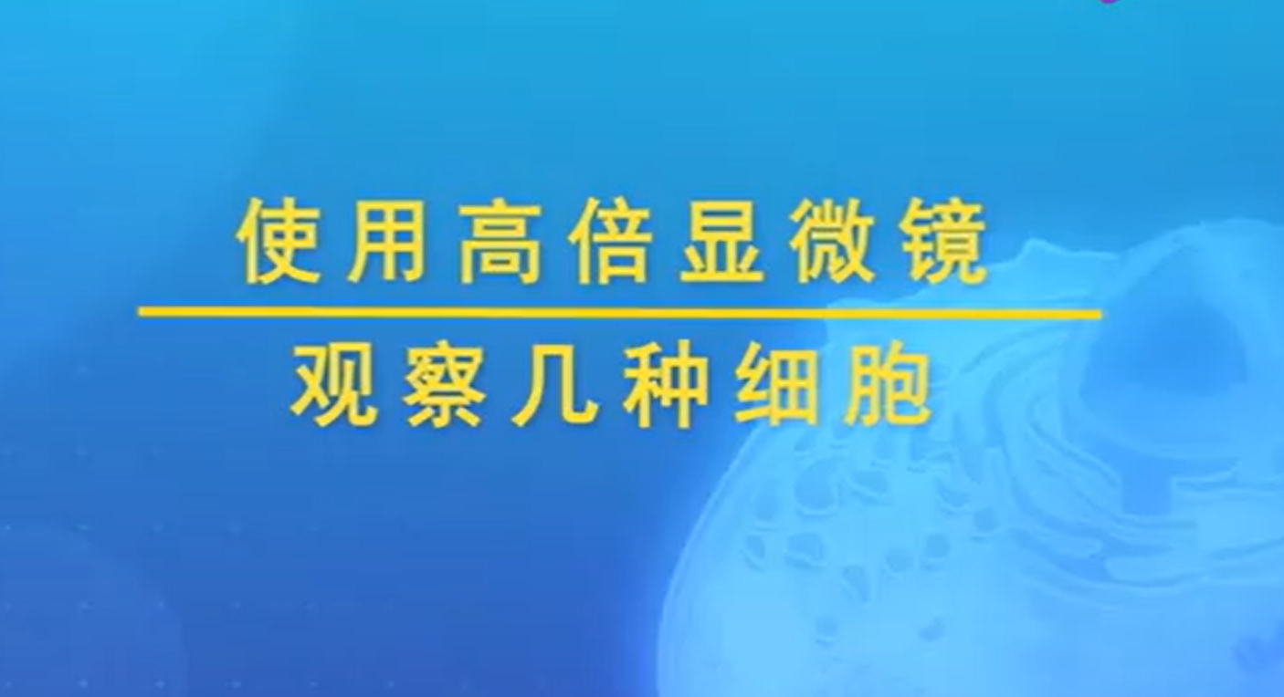 使用高倍显微镜观察几种细胞