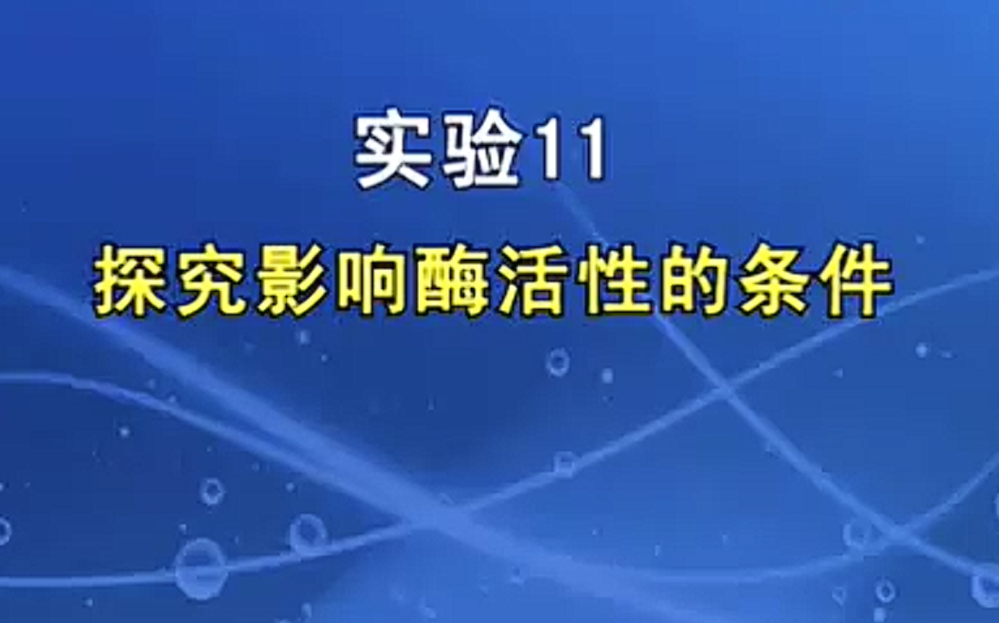 探究酶活性的条件