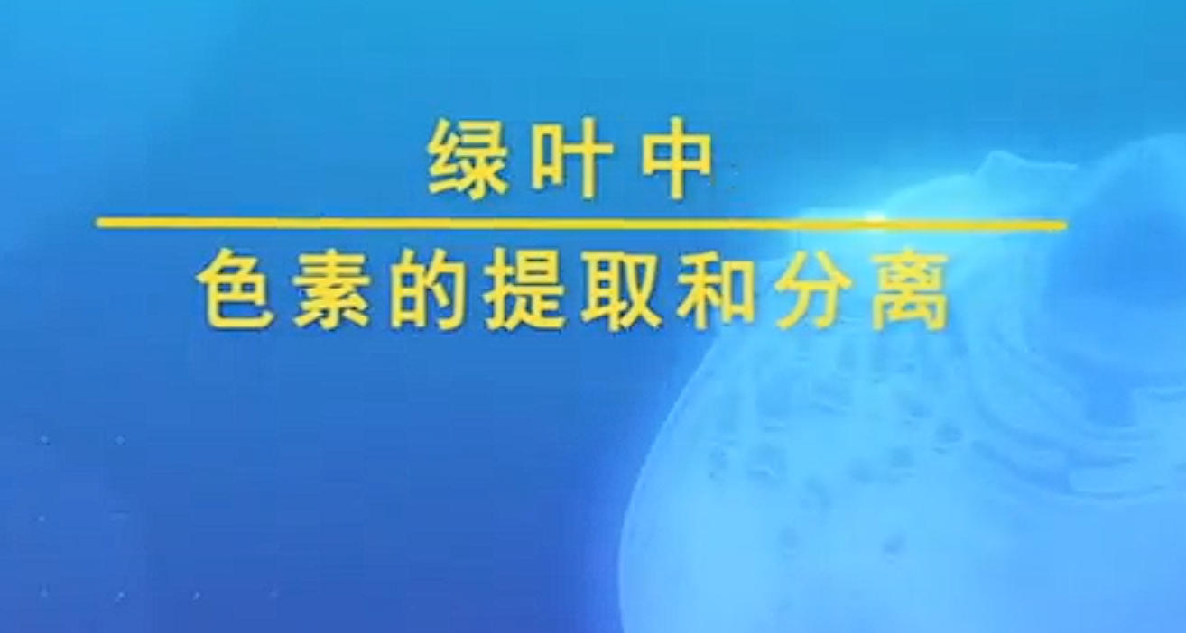 绿叶中色素的提取和分离实验视频