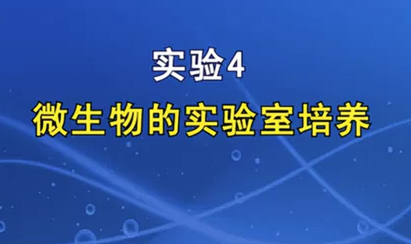 微生物的实验室培养