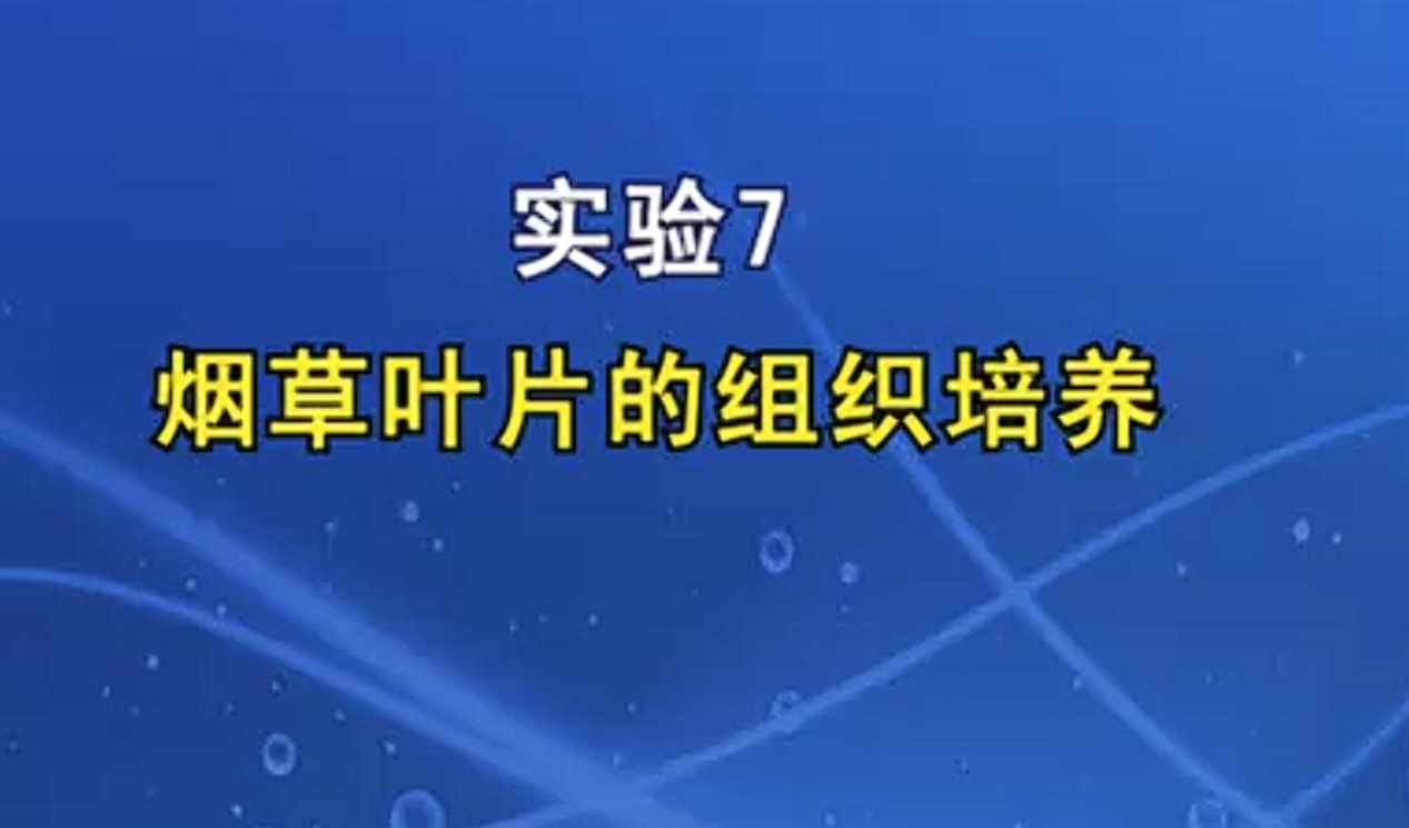 植物组织培养演示实验