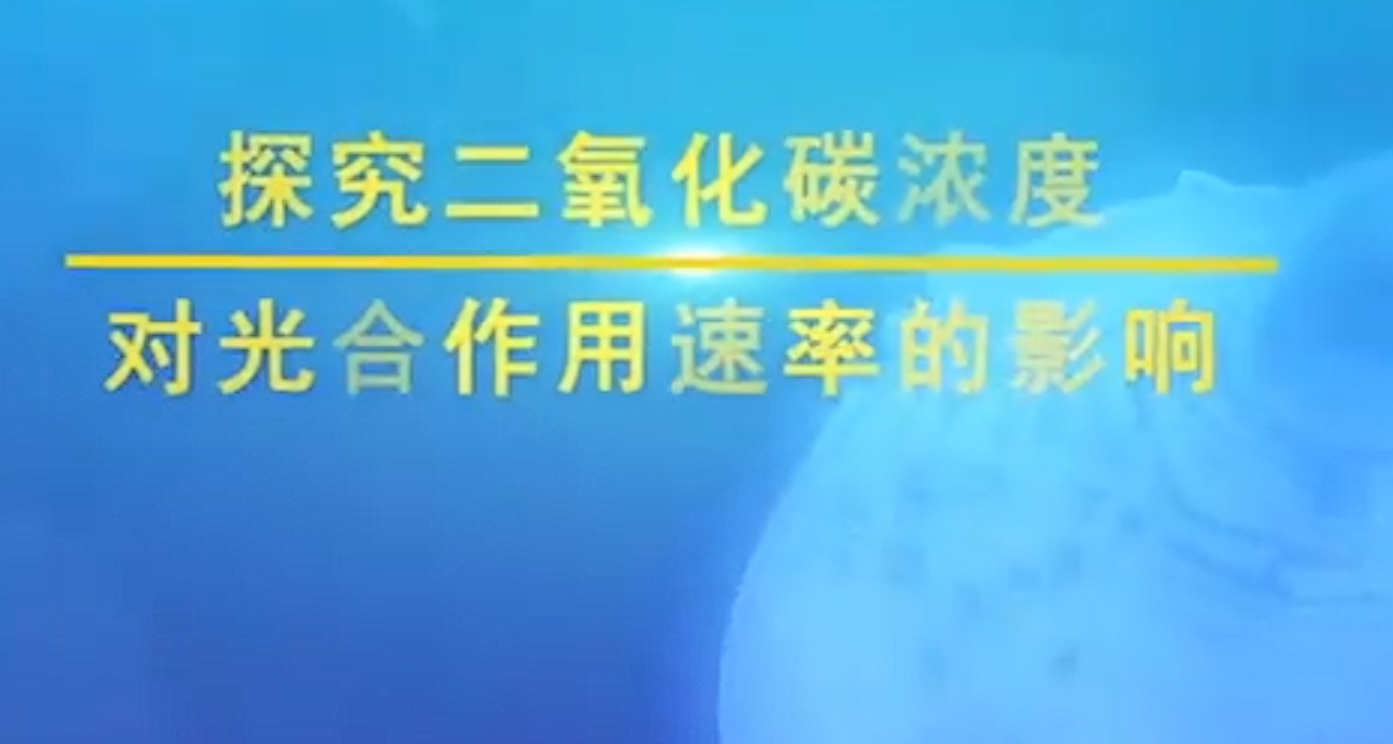 .探究二氧化碳对光合作用速率的影响