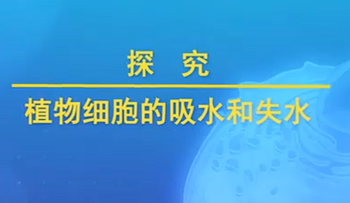 探究植物细胞的吸水和失水实验视频