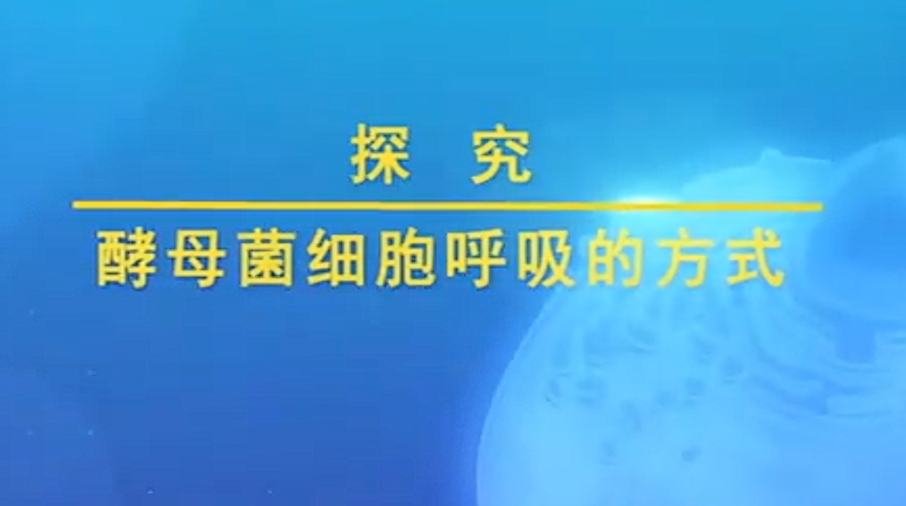 探究酵母菌细胞呼吸的方式