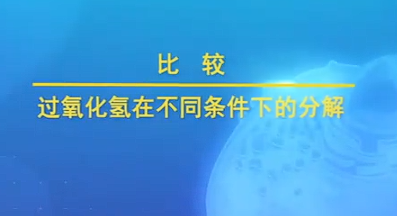 比较过氧化氢在不同条件下的分解