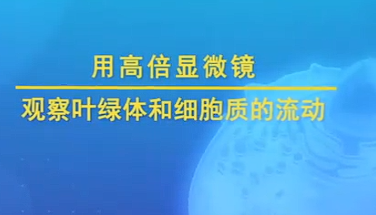 用高倍显微镜观察叶绿体和细胞质的流动