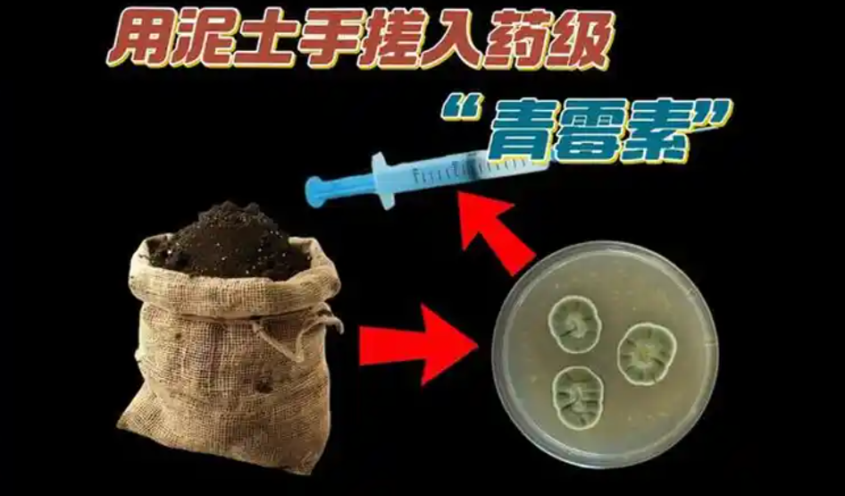 用泥土手搓入药级“青霉素” 