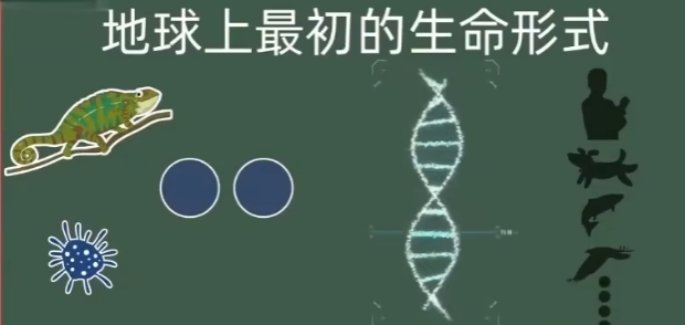 地球生命的起源