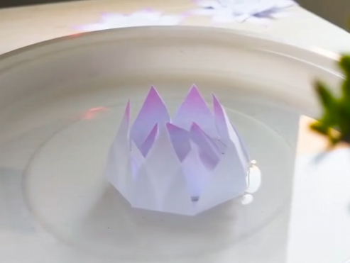 水中绽放的纸花