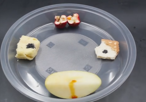 检测食物中的淀粉