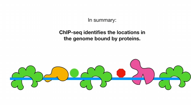 ChIP-seq