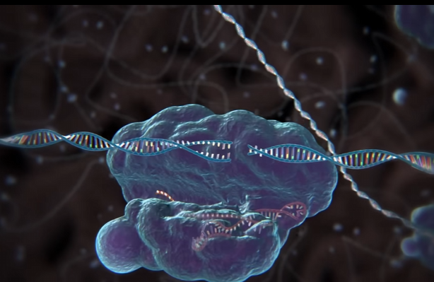 CRISPR-cas9技术