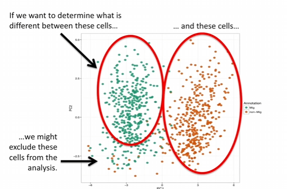 RNA-seq