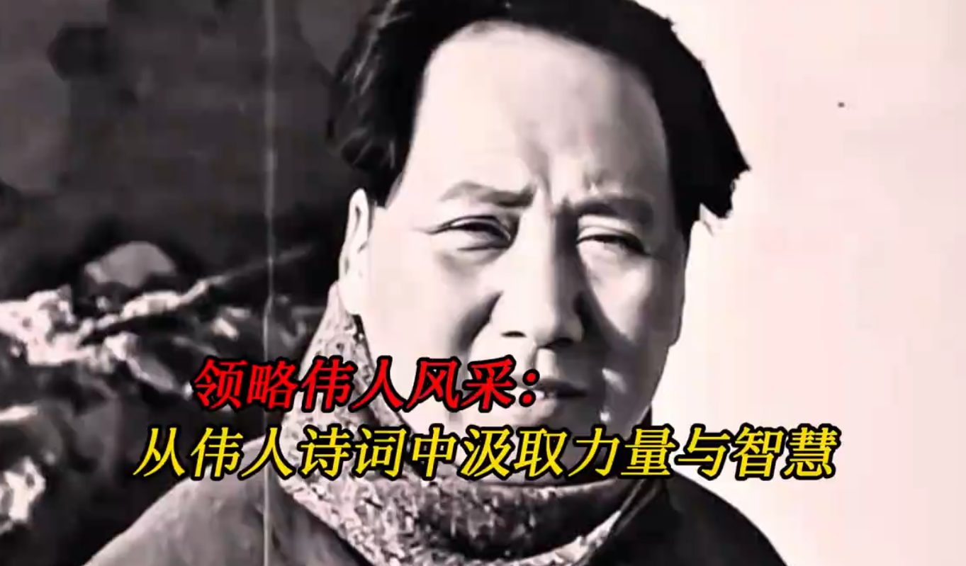 领略伟人风采：从伟人诗词中汲取力量与智慧