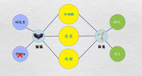 交叉图中的比较思维