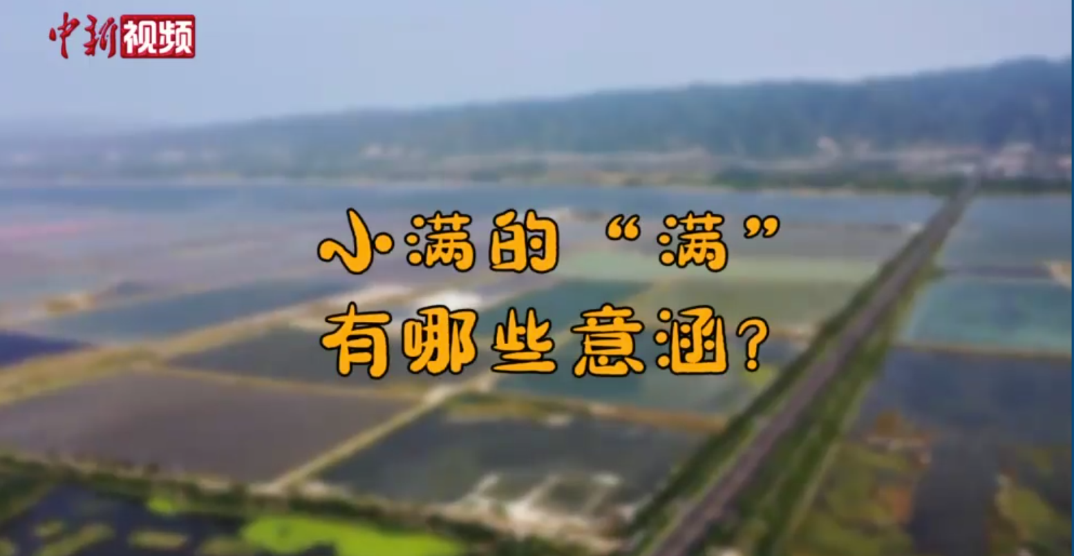 【趣解廿四时】小满为何是“最具古人哲学智慧的节气”？