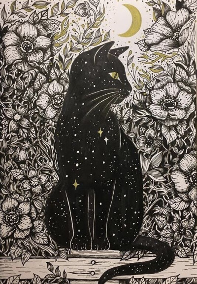 猫真的是液体吗？