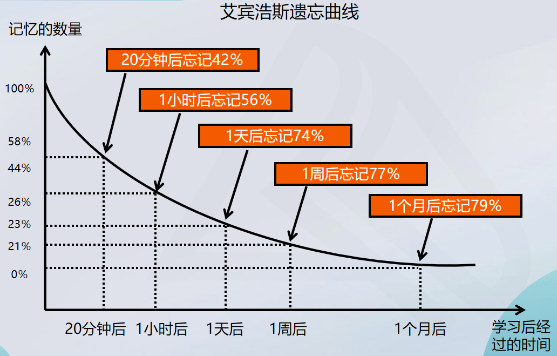 什么是遗忘曲线？