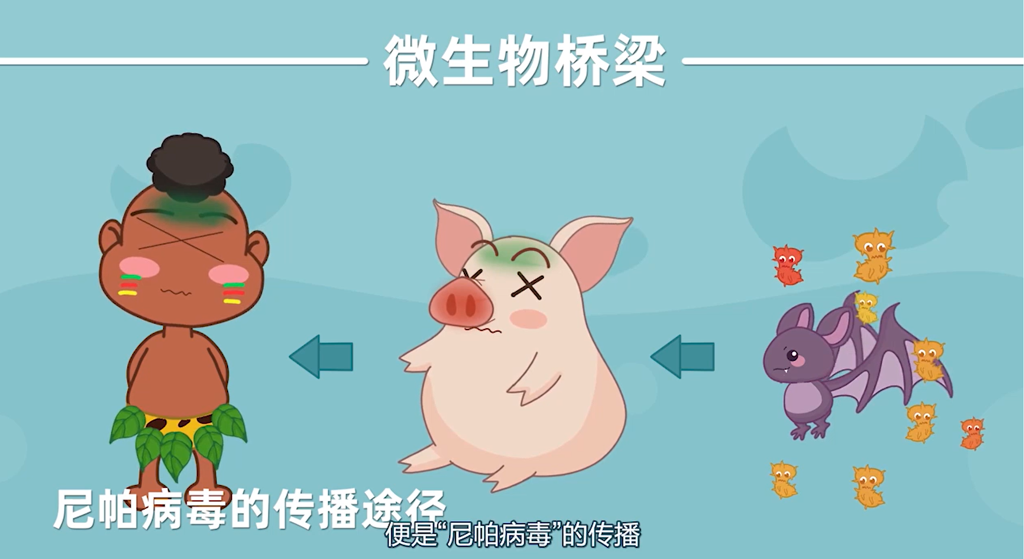 病毒7：揭秘病毒与人类之间的桥梁