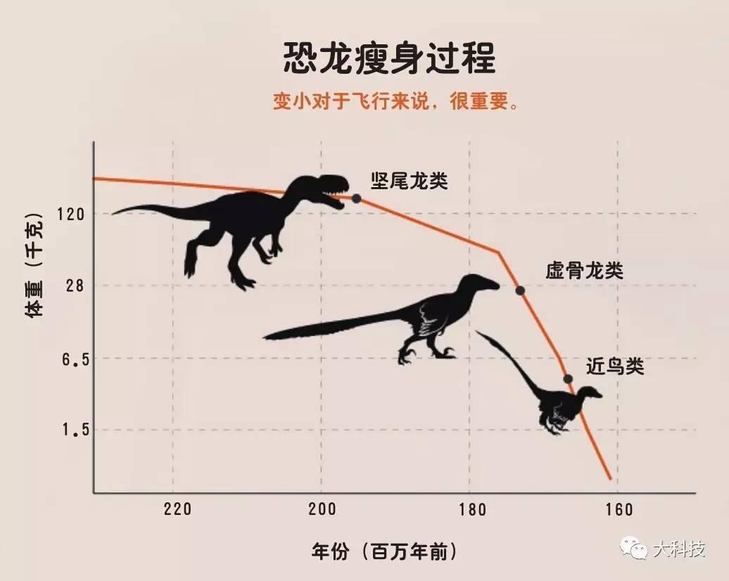 从恐龙到鸟类的演化之谜，被中国科学家破解丨2025年未来科学大奖