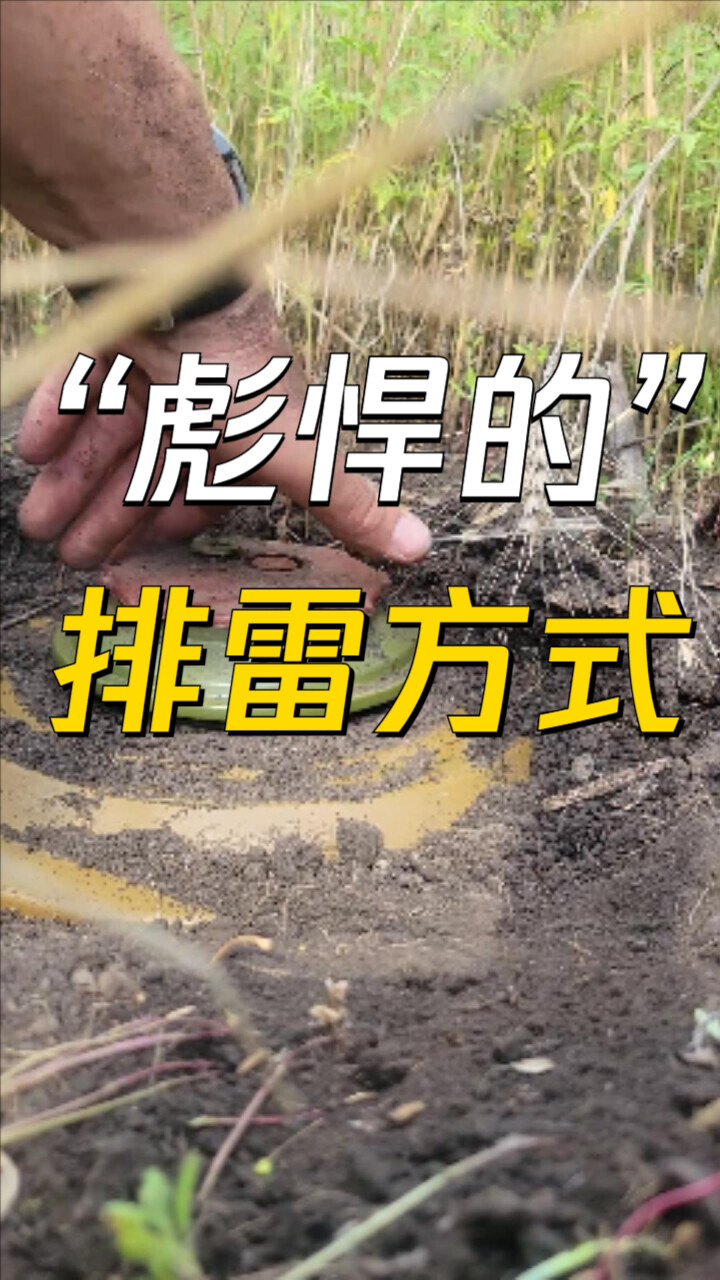 硬核排雷