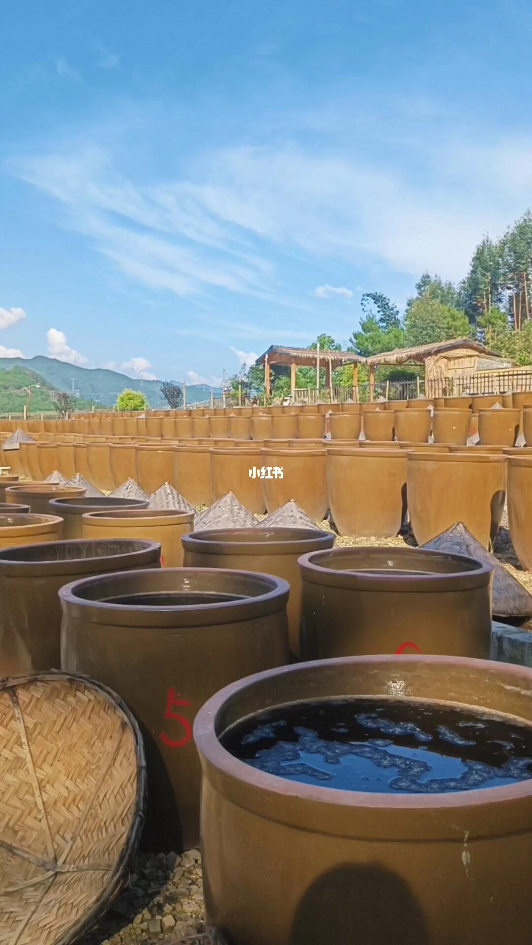 手搓酱油